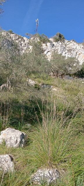 Blick auf dem Gipfel