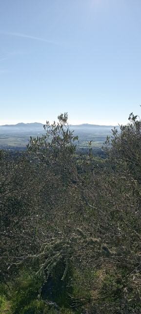 Es hat noch mehr Berge