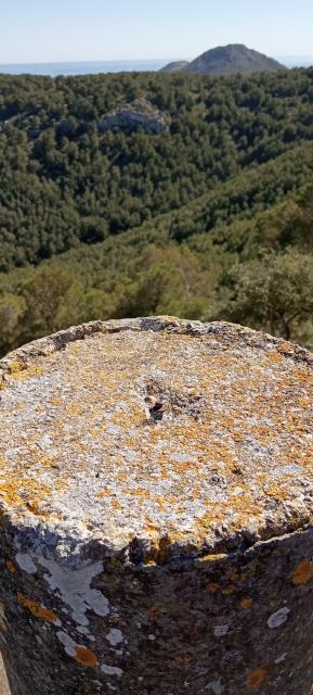 Auf den meistern Gipfel hat es ein Vermessungspunkt