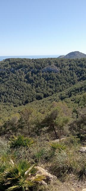 Die gr&uuml;ne Insel