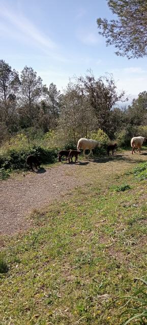 Interessiertes Publikum