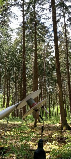 20m Draht invertet V